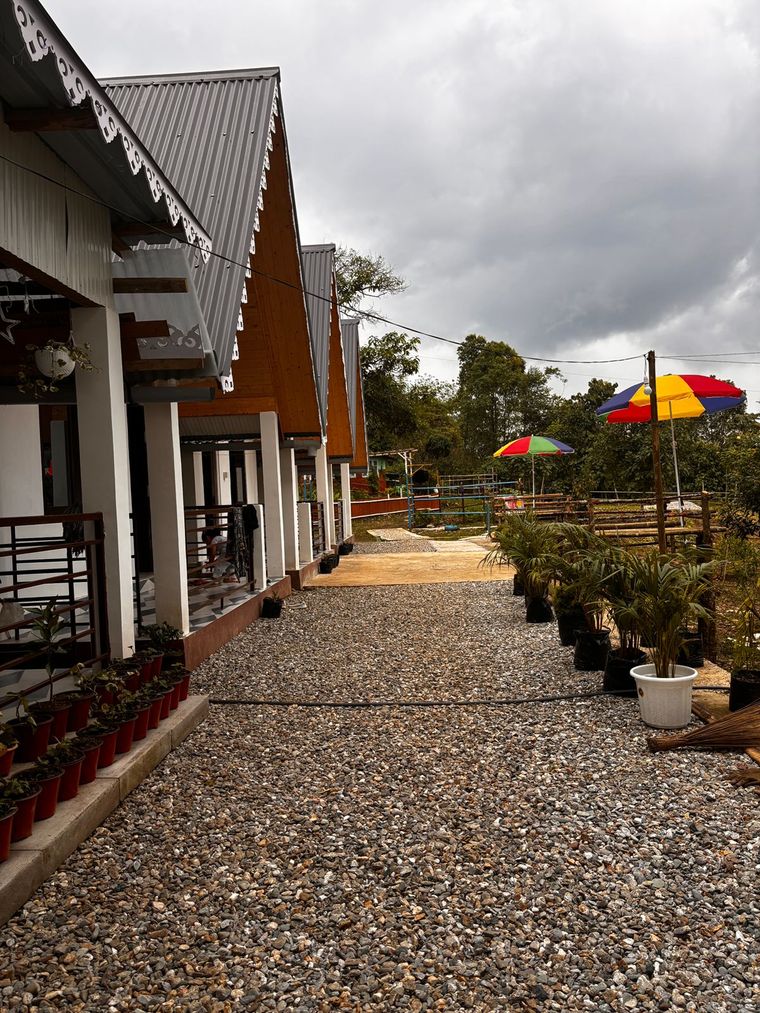 Cabin homestay in Sittong, Kanchenjunga views