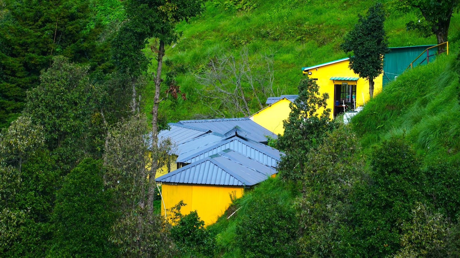 Peaceful Cottages w/Winter Line Views, Uttarakhand in Uttarakhand 1