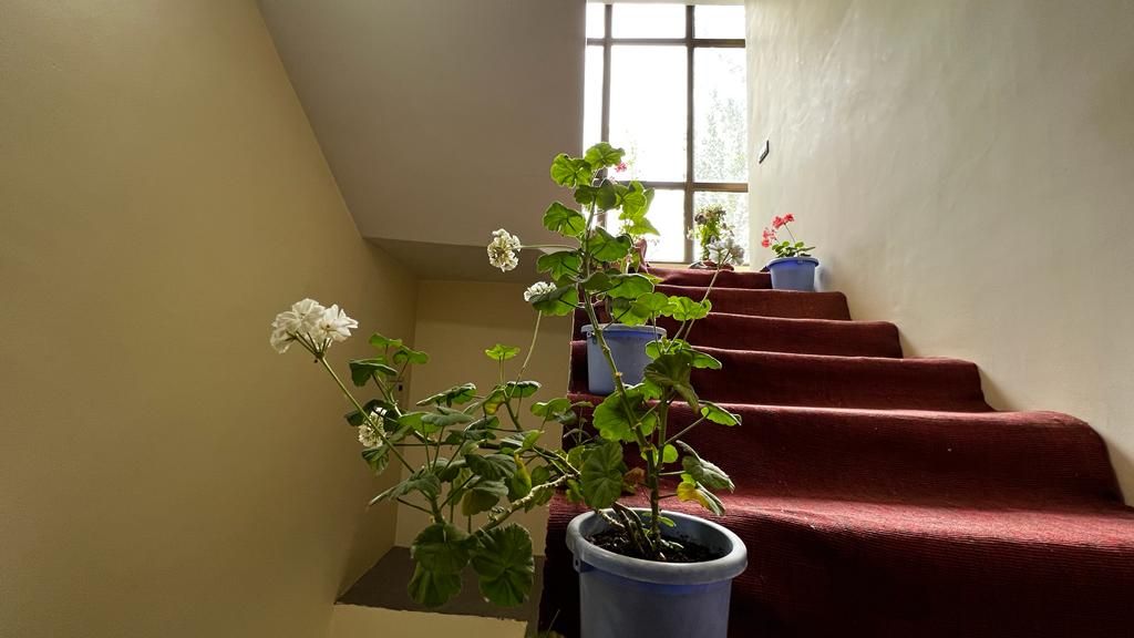 Garden Homestay w/ Home Meals & Views, Ladakh in Leh, Ladakh 8