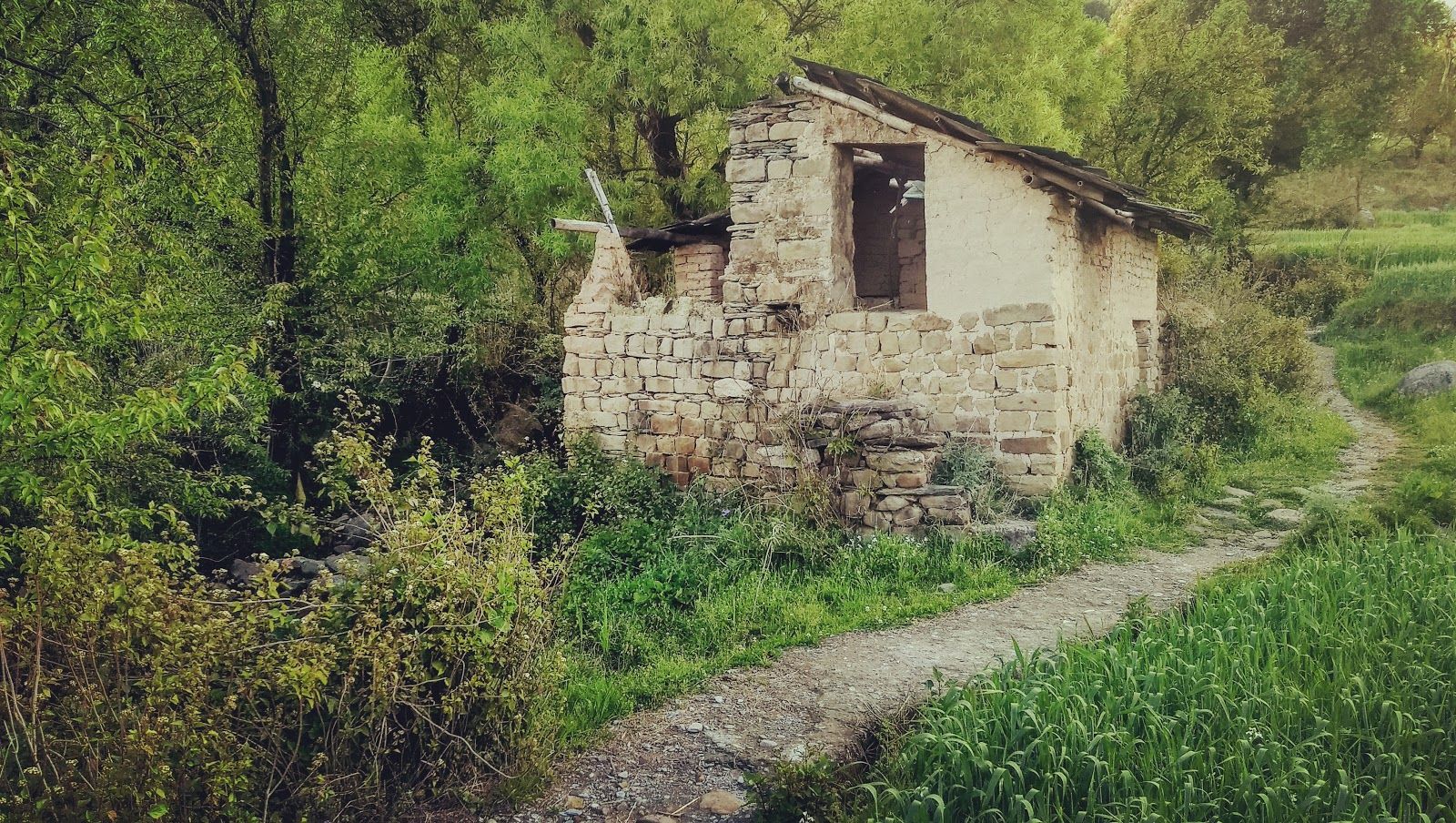 Riverside Homestay w/ Bonfires & Trails, HP - Dharamshala, HP photo 4