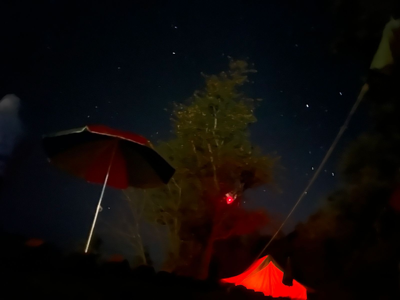 Campsite for Students & All in Uttarakhand - Chakrata, Uttarakhand photo 5