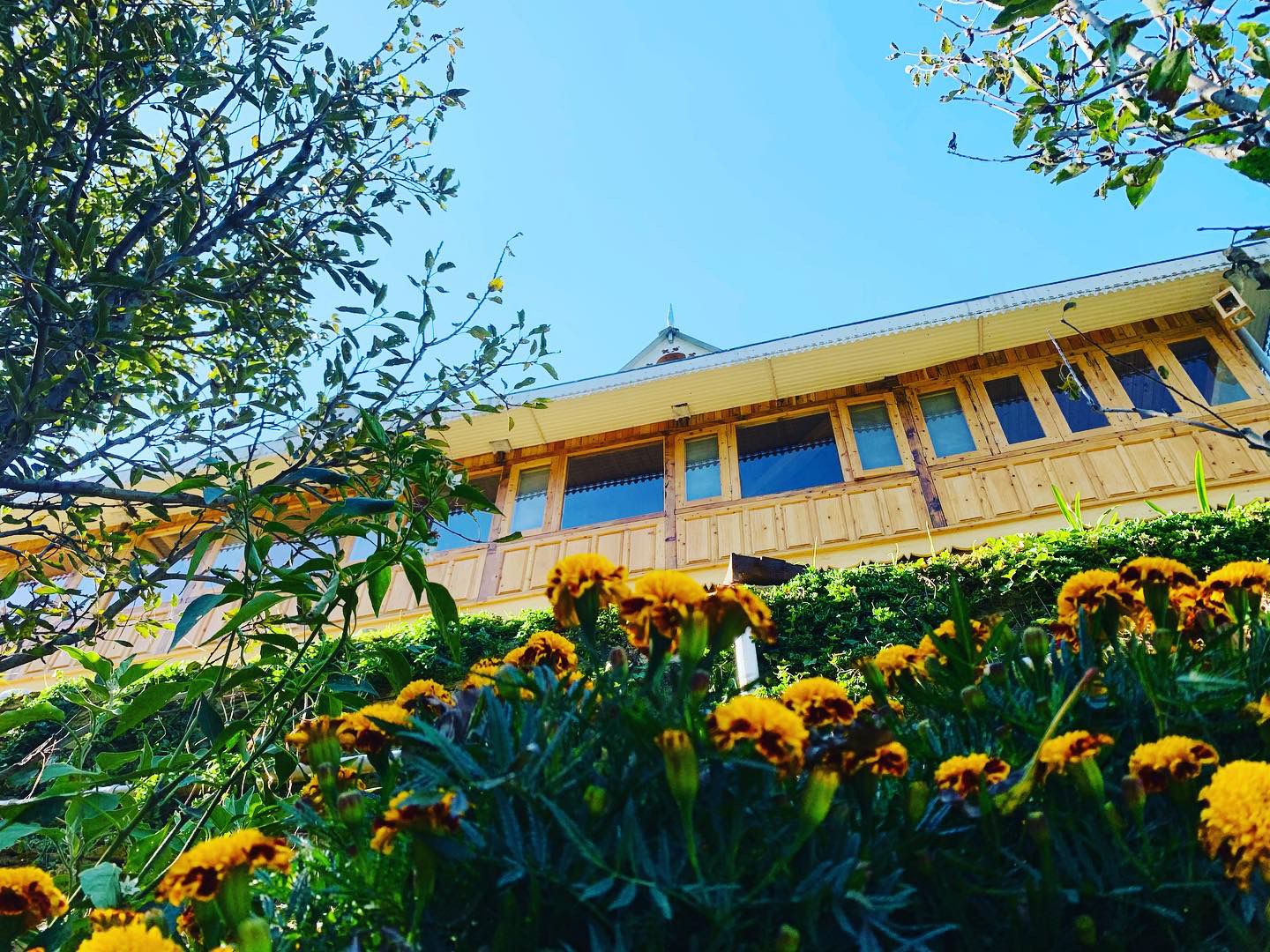 Mountain View Homestay w/ Apple Orchards HP in Jubbal, HP 1