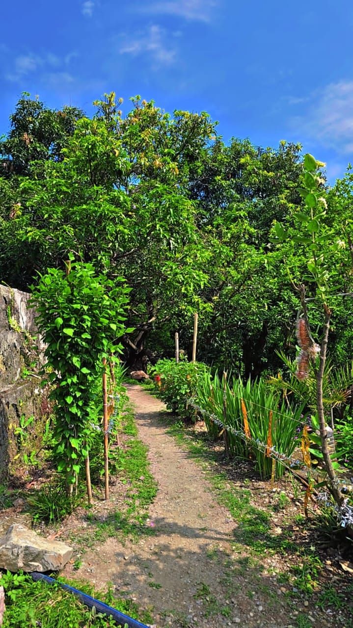 Organic Farm Homestay by Stream, Uttarakhand in Daboli, Uttarakhand 5