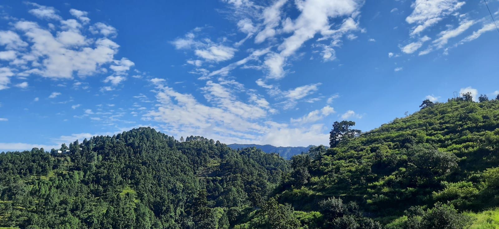 Mountain View Homestay w/ HP Uttarakhand in Manthala, Uttarakhand 8