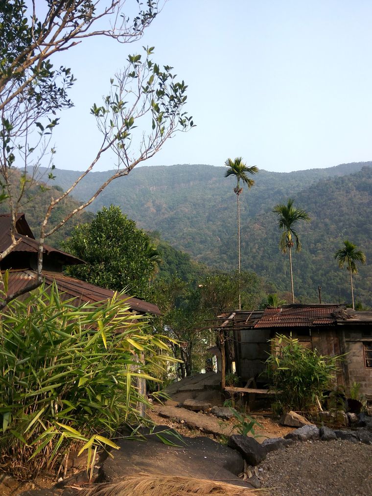 Hillside homestay in Shillong, Meghalaya