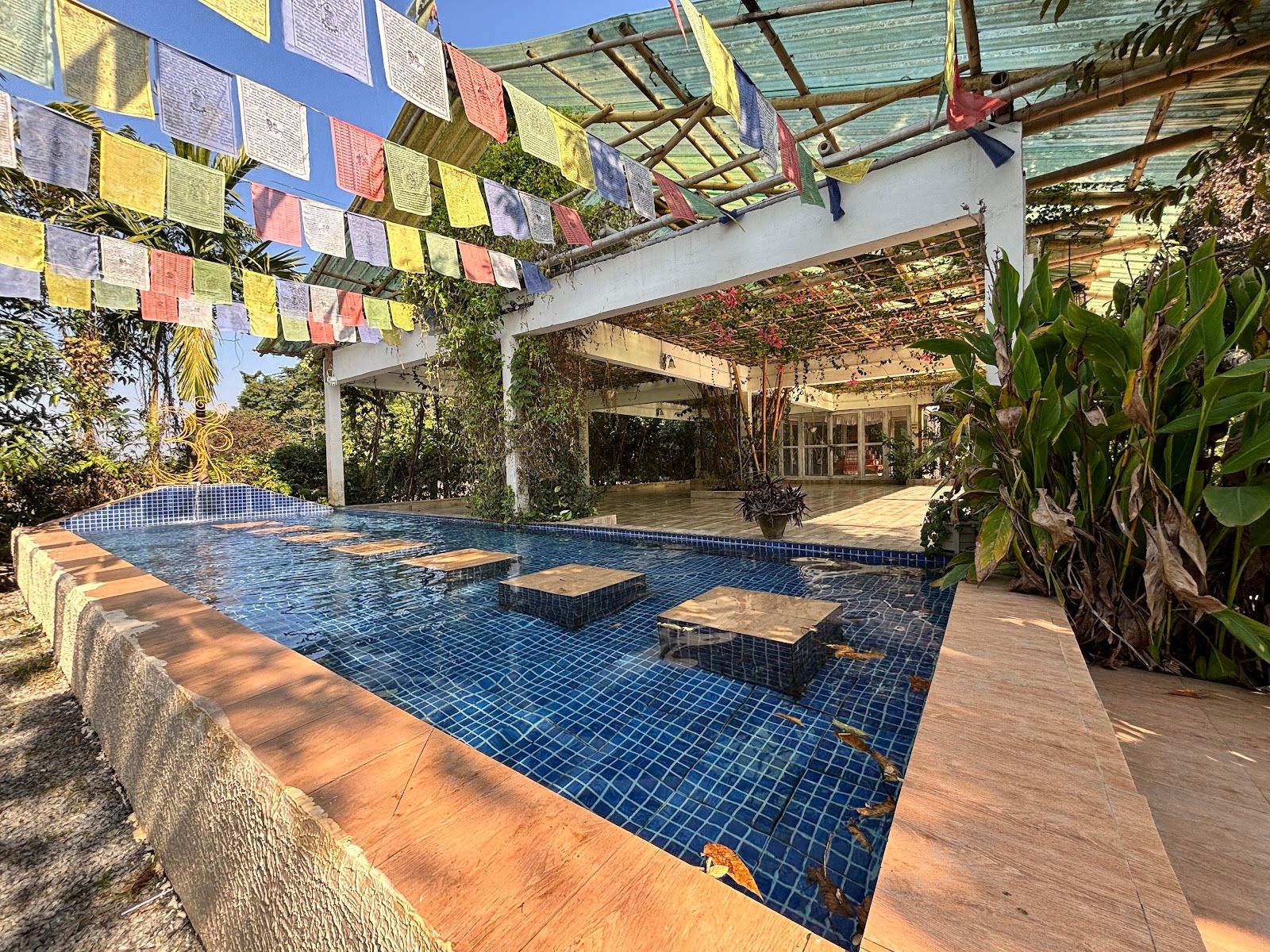 Forest Homestay, Dense Woods & Trails, Uttarakhand - Assam photo 4