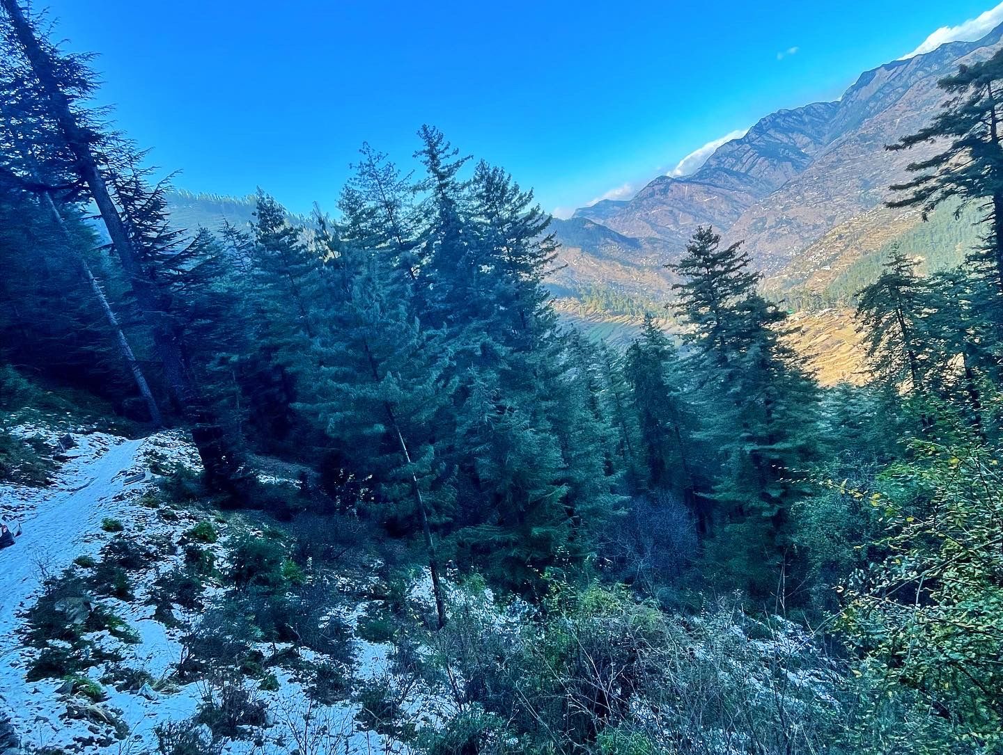 Great Views Treehouse & Cottages HP NE AP in Banjar, HP 5