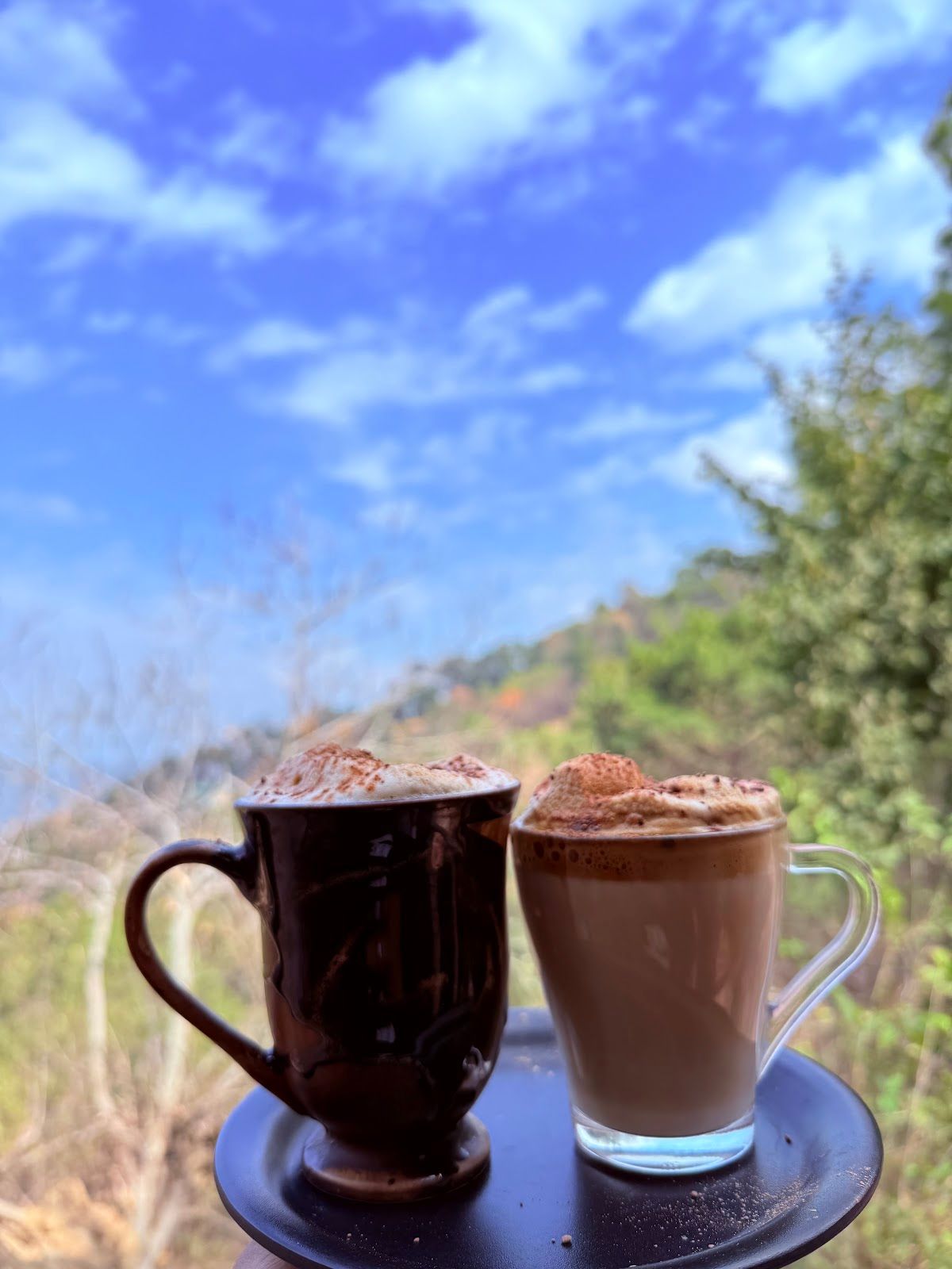 Peaceful Homestay w/ Pine Forest Views HP in Himachal Pradesh 8