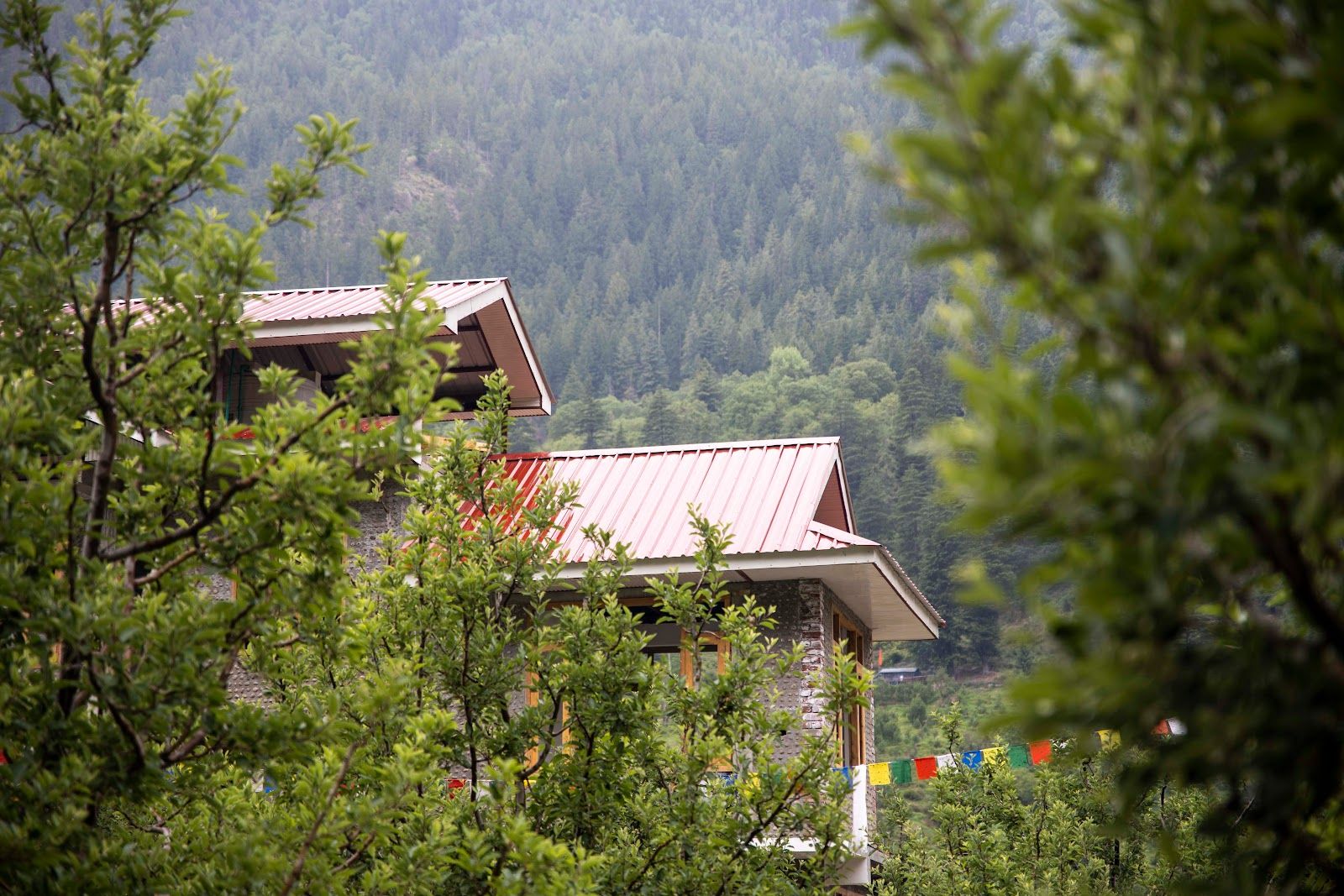 Mountain River View Hotel w/ HP Kinnaur State