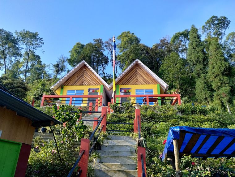 Tea garden homestay in Darjeeling, West Bengal