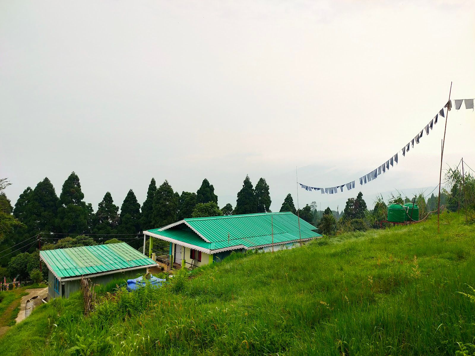 Darjeeling Homestay: Lovers Meet View