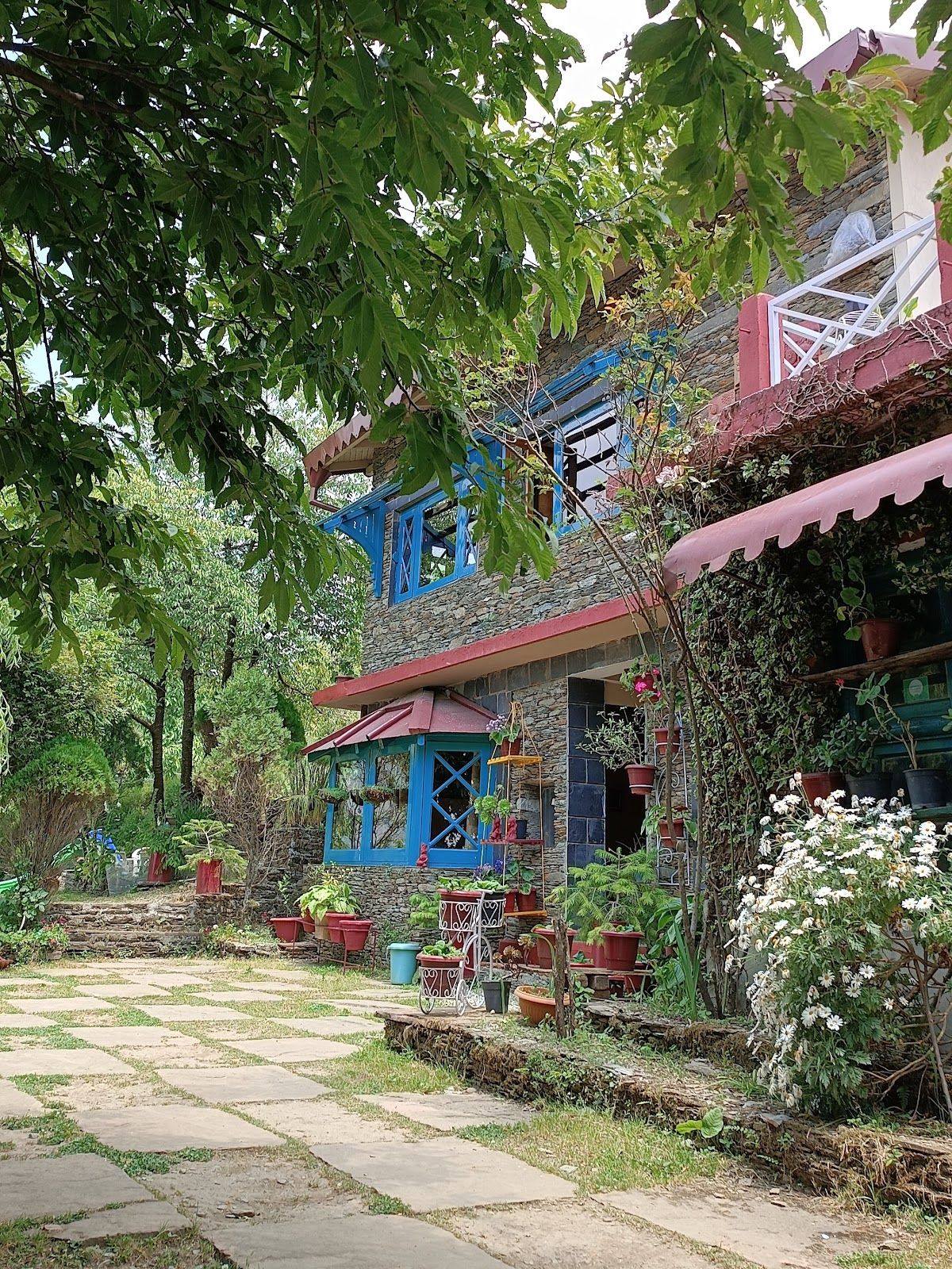 Pangot lodge with 360-degree hill views