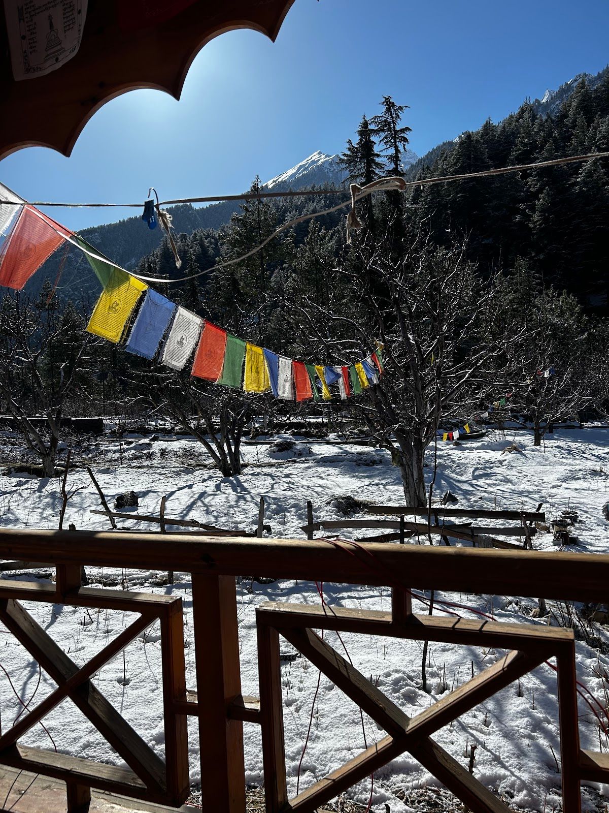 Valley River View Homestay w/ Bonfires Uttarakhand in Uttarakhand 8