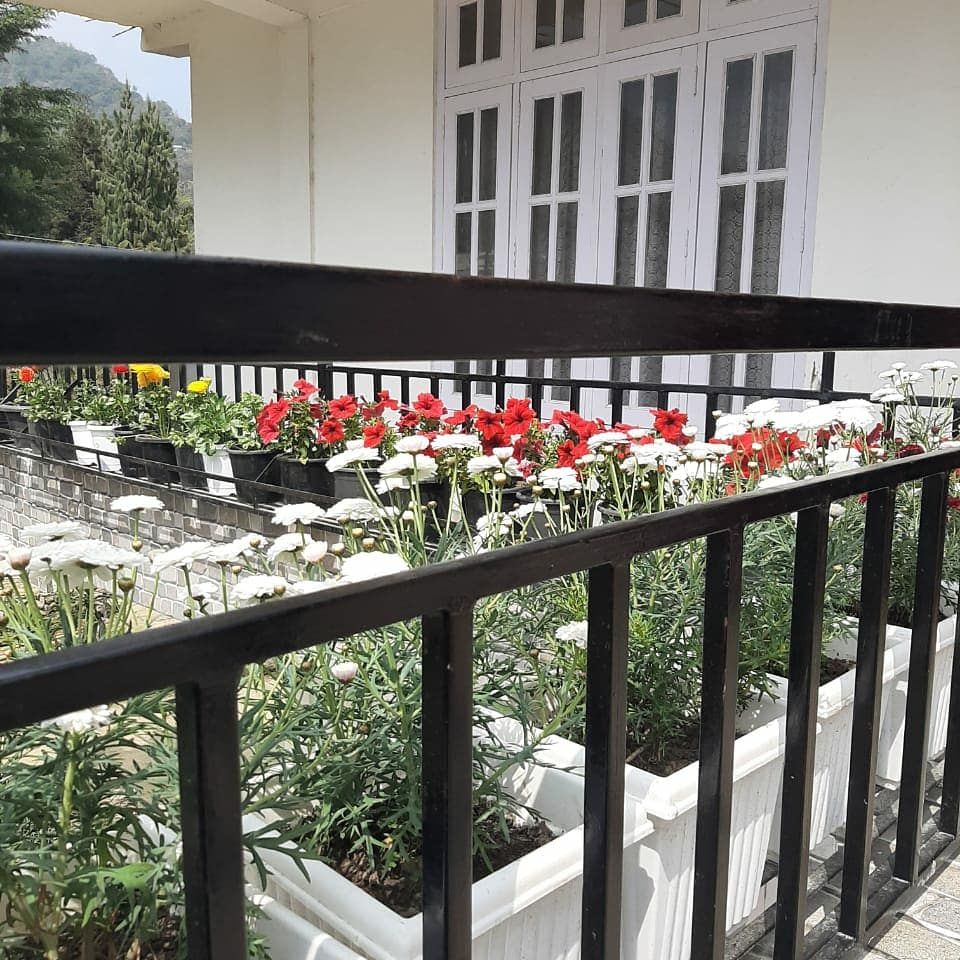 Dzukou Valley Base Homestay w/ Caring Hosts in Nagaland, Kigwema 1