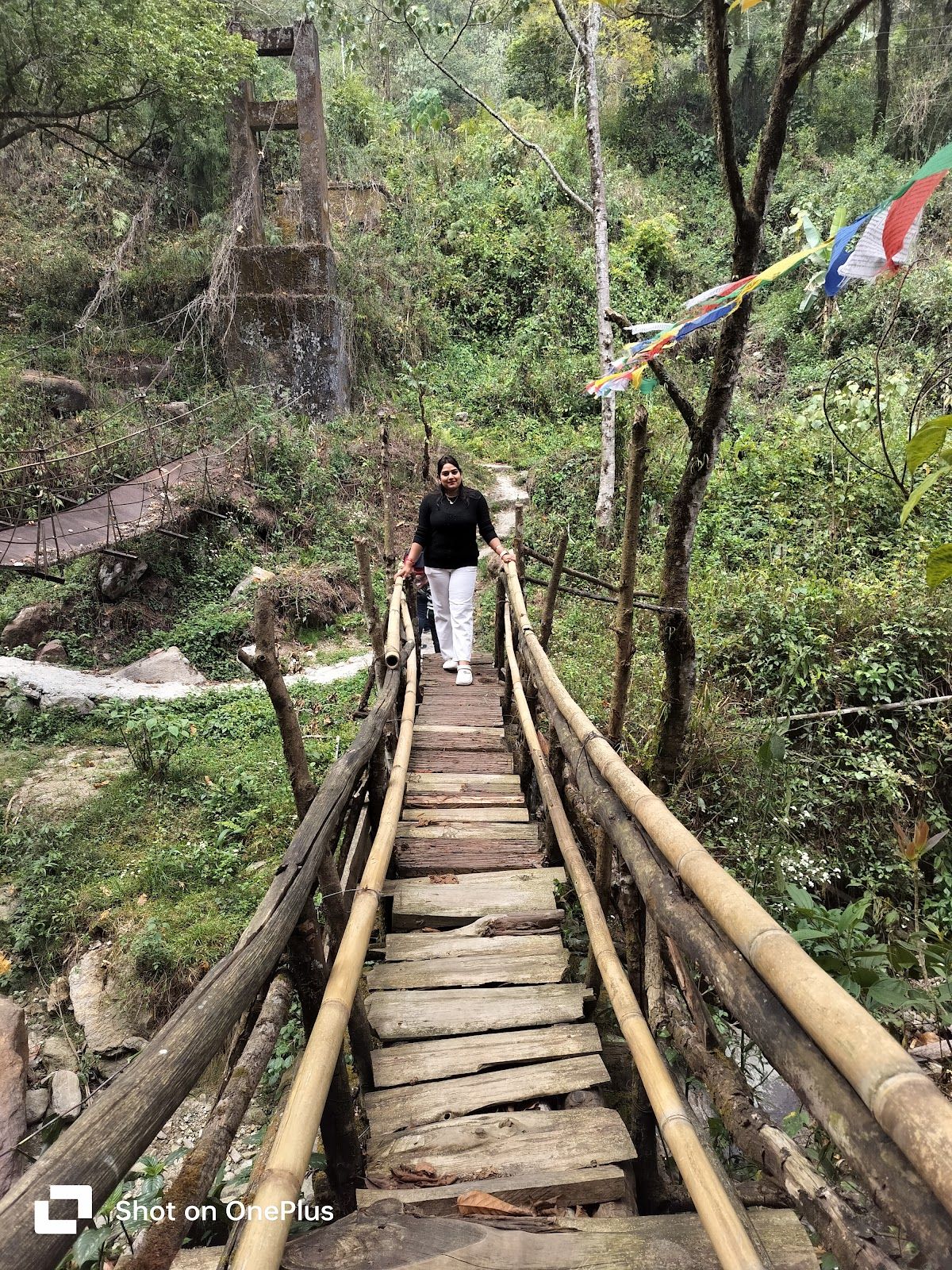 Cardamom Garden Homestay w/ Valley View NE in Sikkim, Lingtam 8