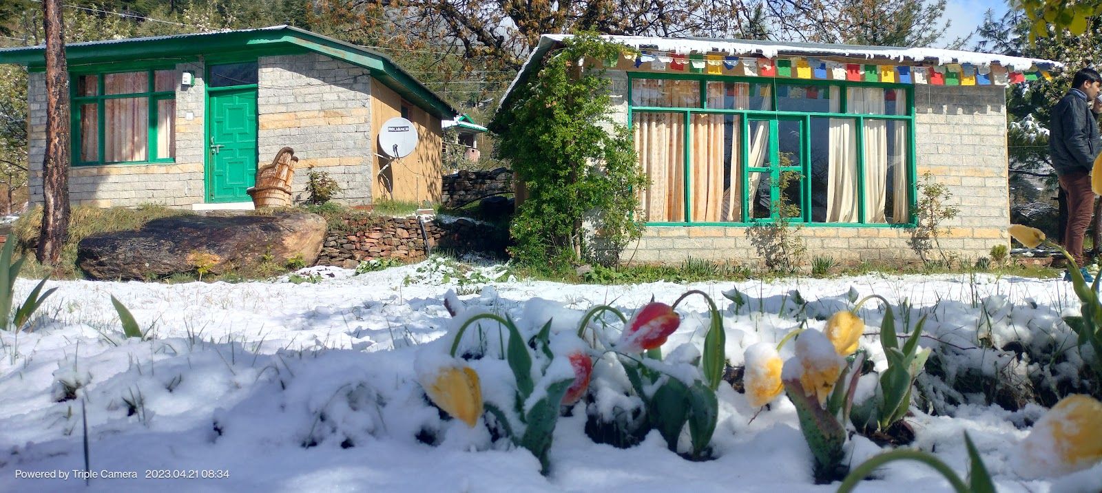 Apple Garden View Cottage w/ Bonfire HP in Himachal Pradesh 1