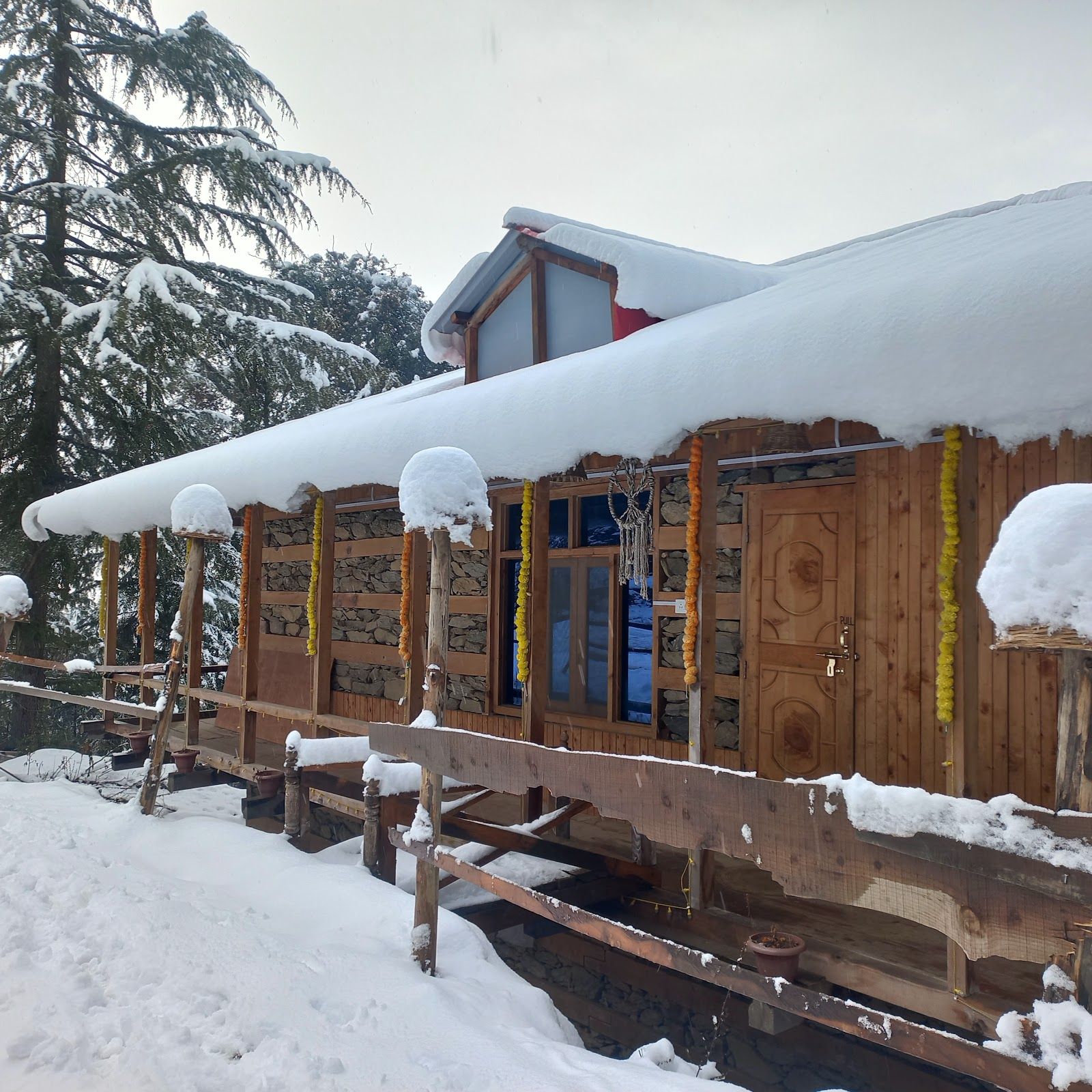 Family Homestay w/ Home Meals & Treks, HP - Shangarh, Himachal Pradesh photo 5