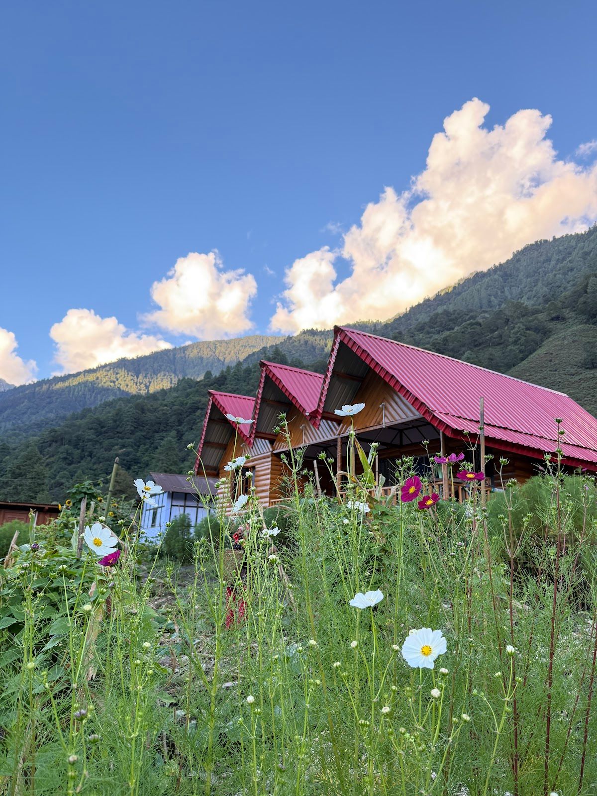 Mountain View Wooden Cabins w/ Garden & Campfire - Anini, Arunachal Pradesh photo 5