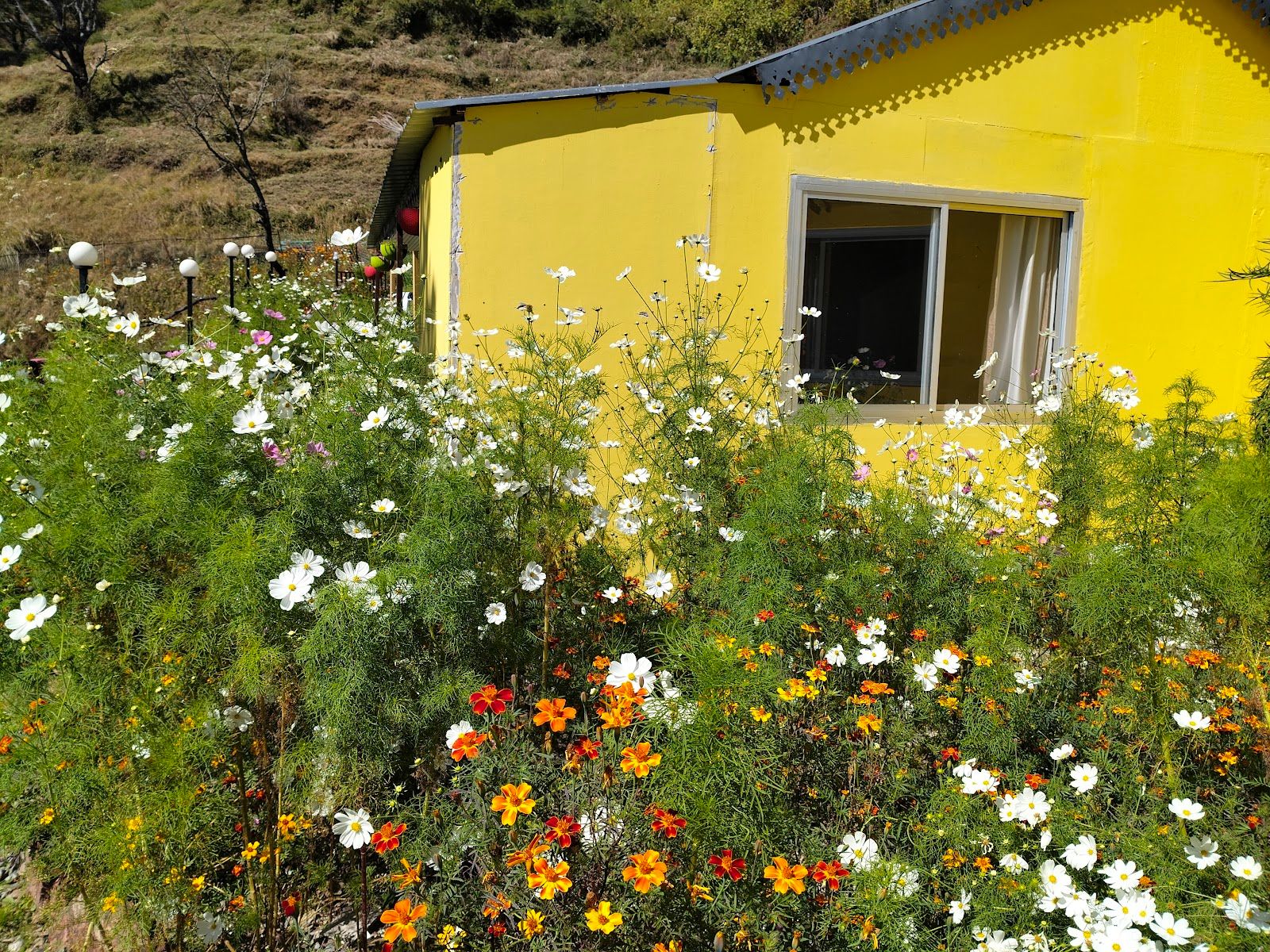 Peaceful Cottages w/Winter Line Views, Uttarakhand in Uttarakhand 8