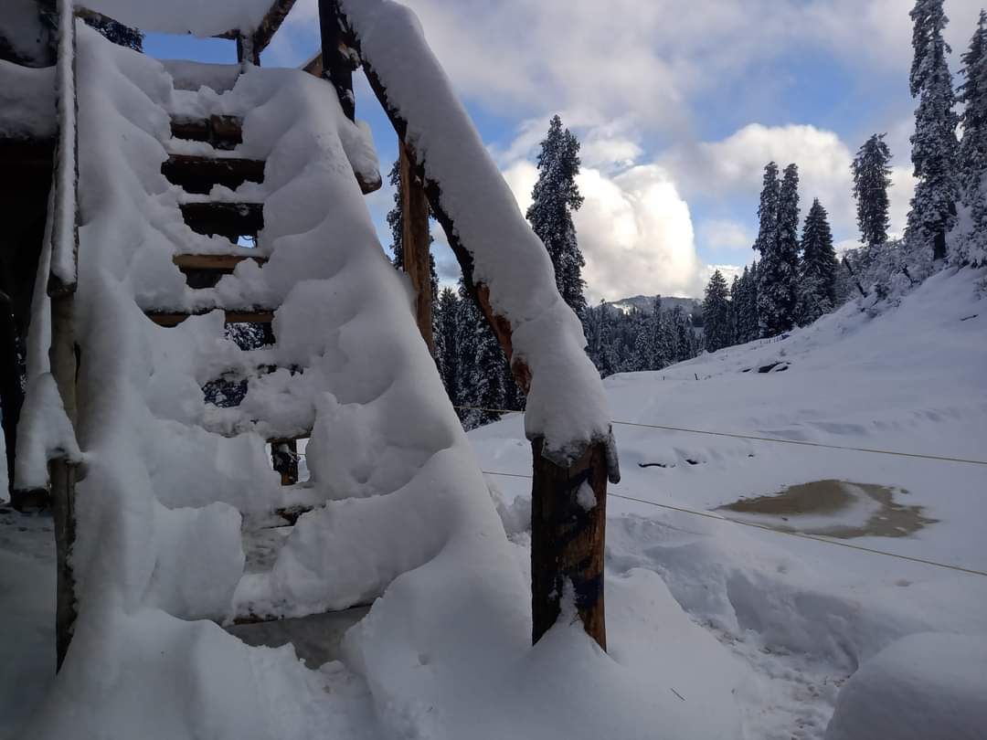 Duplex Cottages w/ Valley Views & Meals, HP - Narkanda, HP photo 4