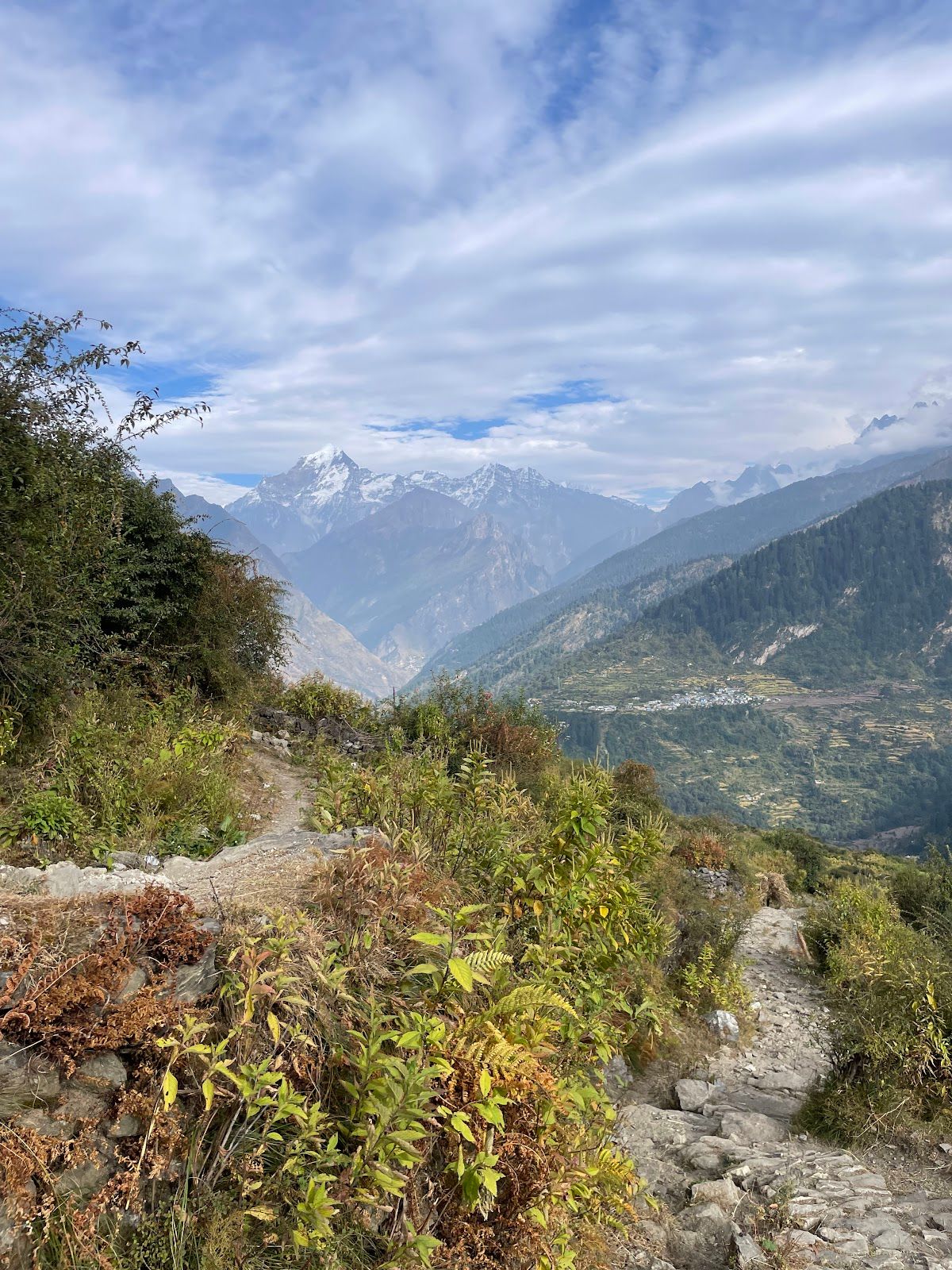 Homestay for Kuari Pass Trek, Home Meals, UT in Karchi, Uttarakhand 2