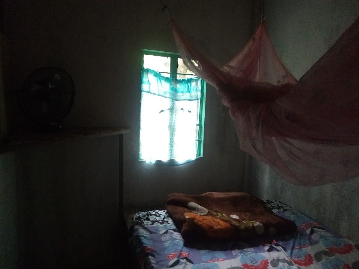 Walk to Living Root Bridge Homestay, Meghalaya in next to Double Decker Root Bridge 8