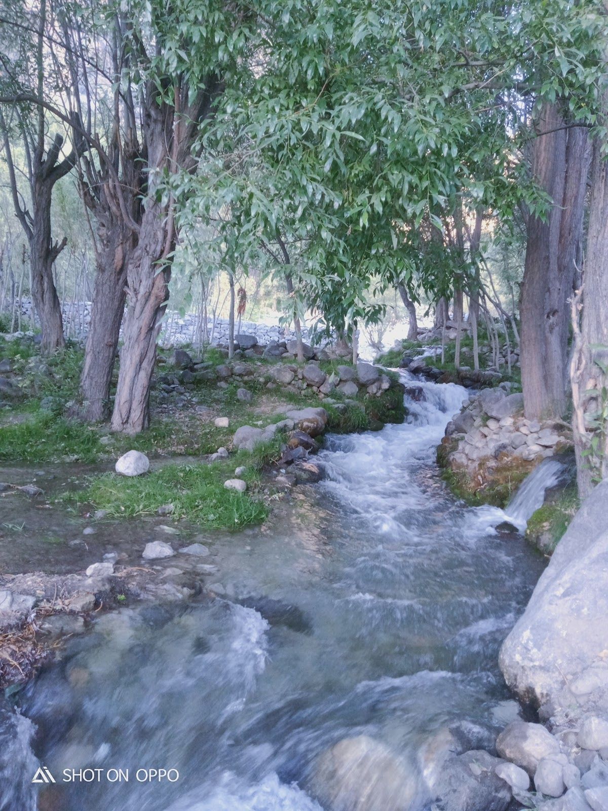Waterfall Homestay w/ Fort Views, Gilgit-Baltistan - Khaplu, Gilgit-Baltistan photo 5