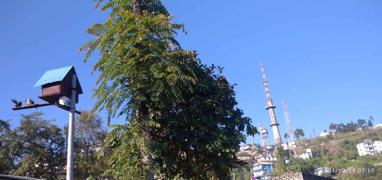 Peaceful Homestay w/City View & Friendly Family