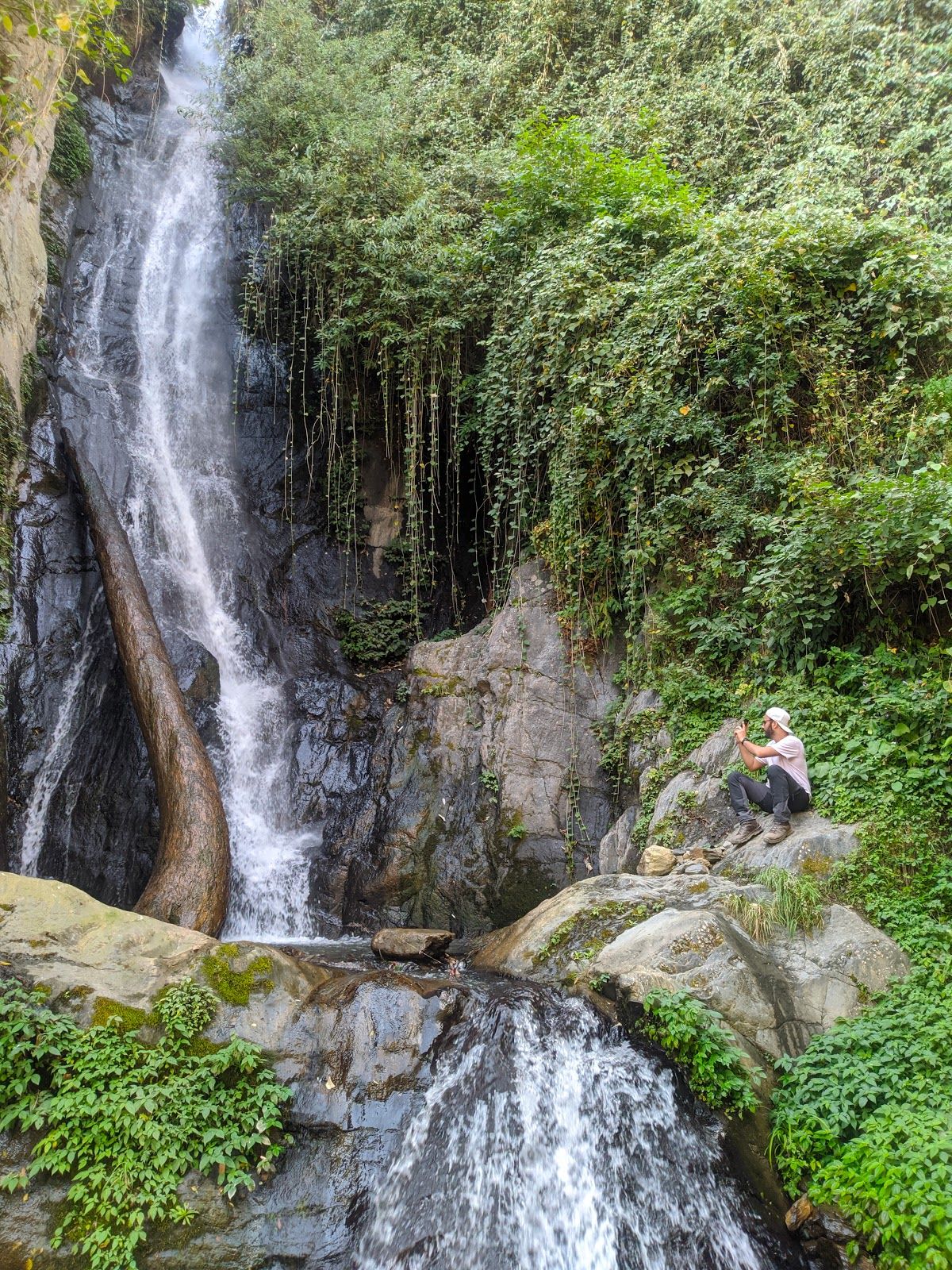 Mountain view stay in Bhadarwah|Cozy & Affordable - Maira, Himachal Pradesh photo 5