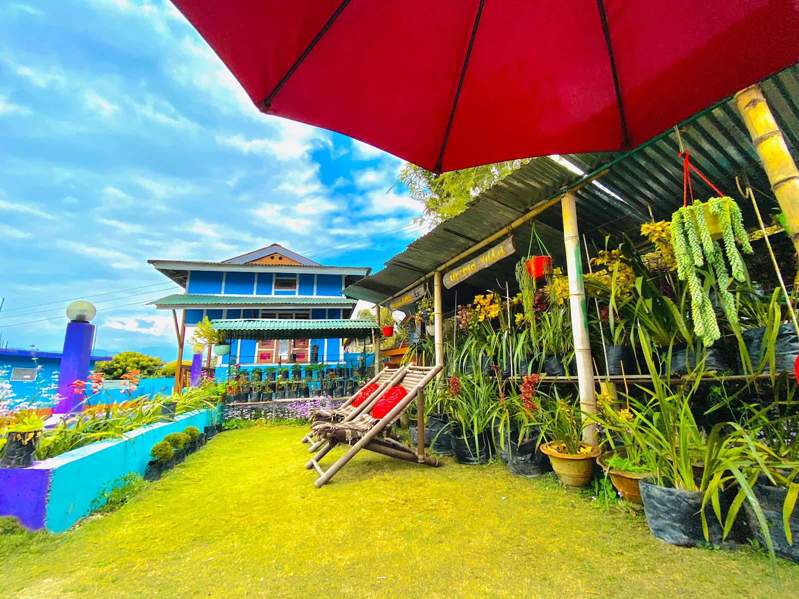 Silence & Peace Homestay w/ Mountain Views, Sikkim - Sikkim, Rinchenpong photo 5