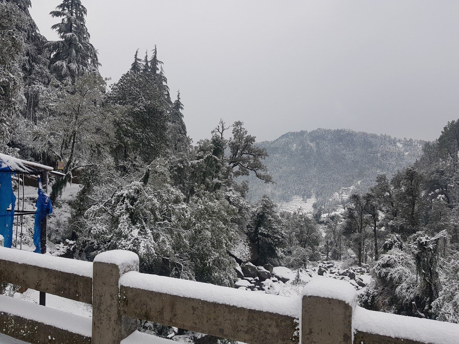 Himalayan Views Cottages w/ Trek Access HP in Kareri Khas, HP 5