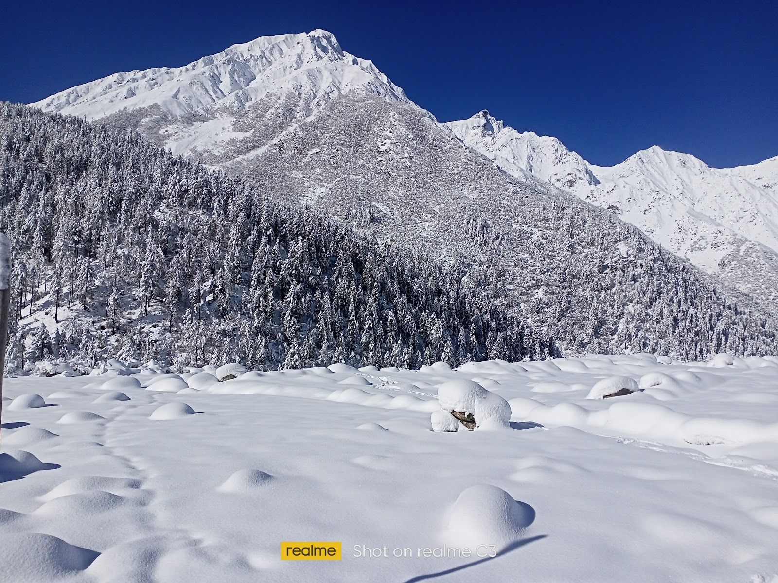 Riverside Mountain Camp w/ Dorms HP - Himachal Pradesh photo 4