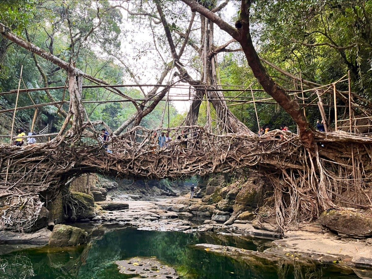 Living Root Bridge Homestay w/ Nature Views - Meghalaya