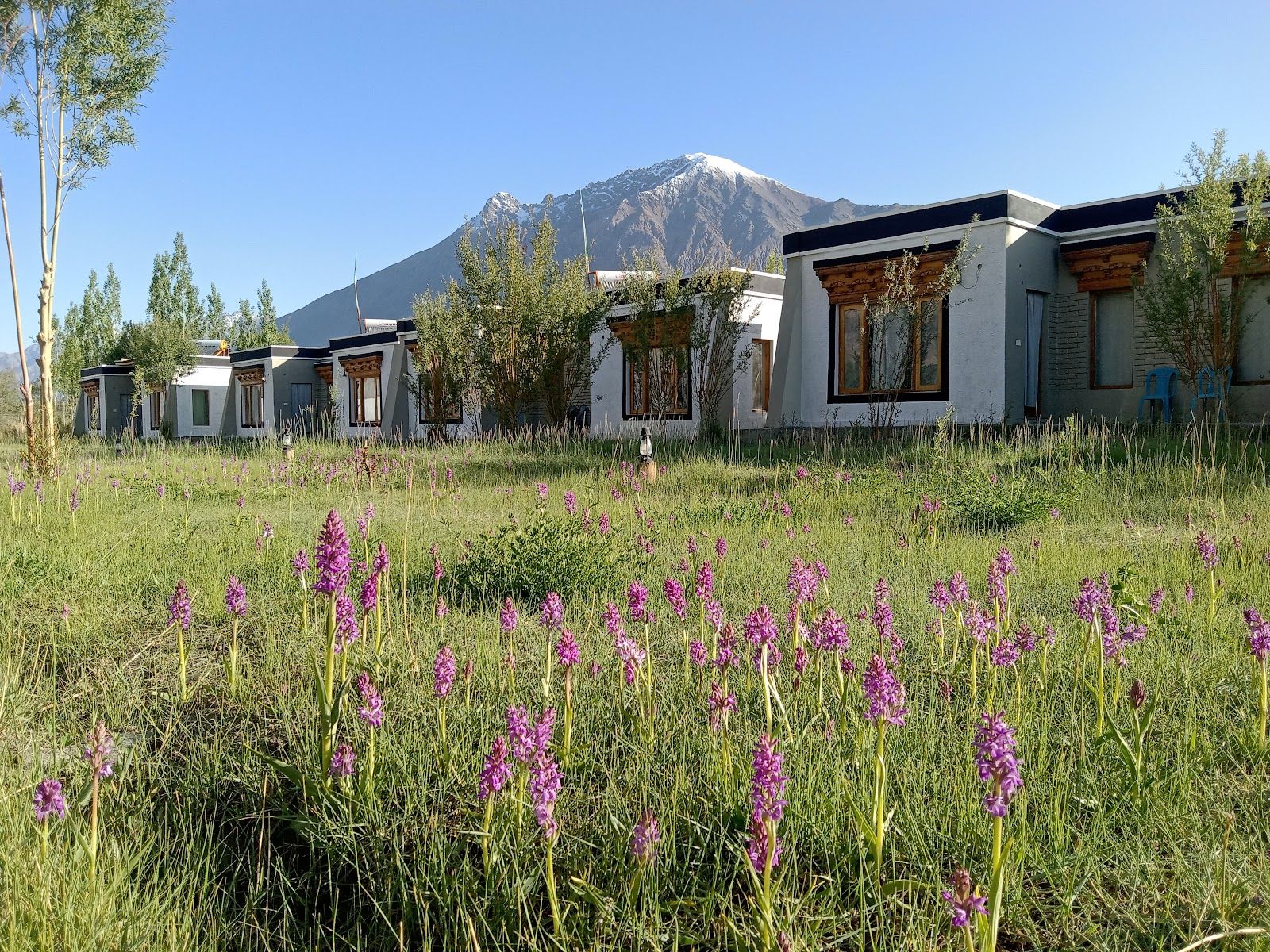 Stargazing Cottages w/ HP & Organic Food, Ladakh in Diskit, Ladakh 5