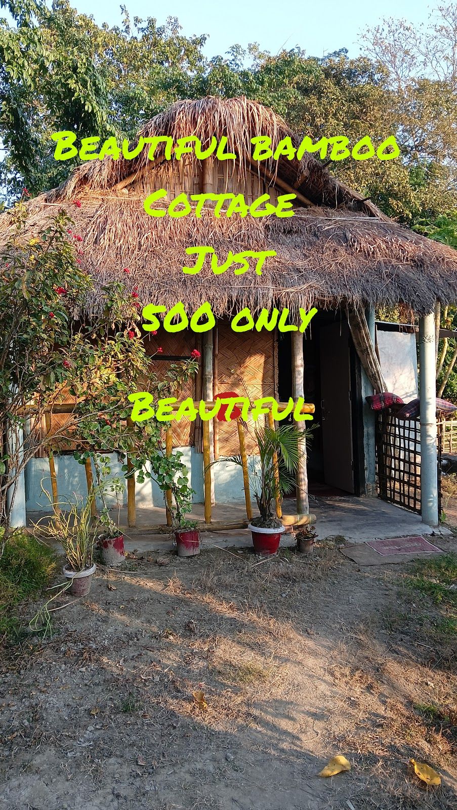 Flower-Filled Cottage w/ Tasty Food & Pets, ...