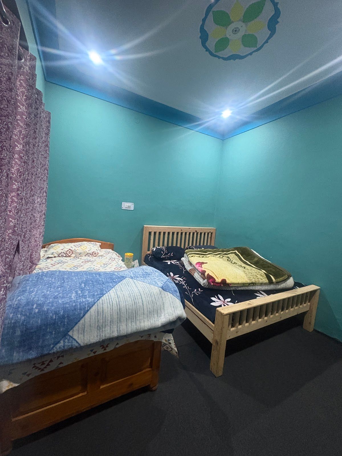 Homestay w/ Home Meals & Treks, Uttarakhand - Raithal, Uttarakhand photo 5