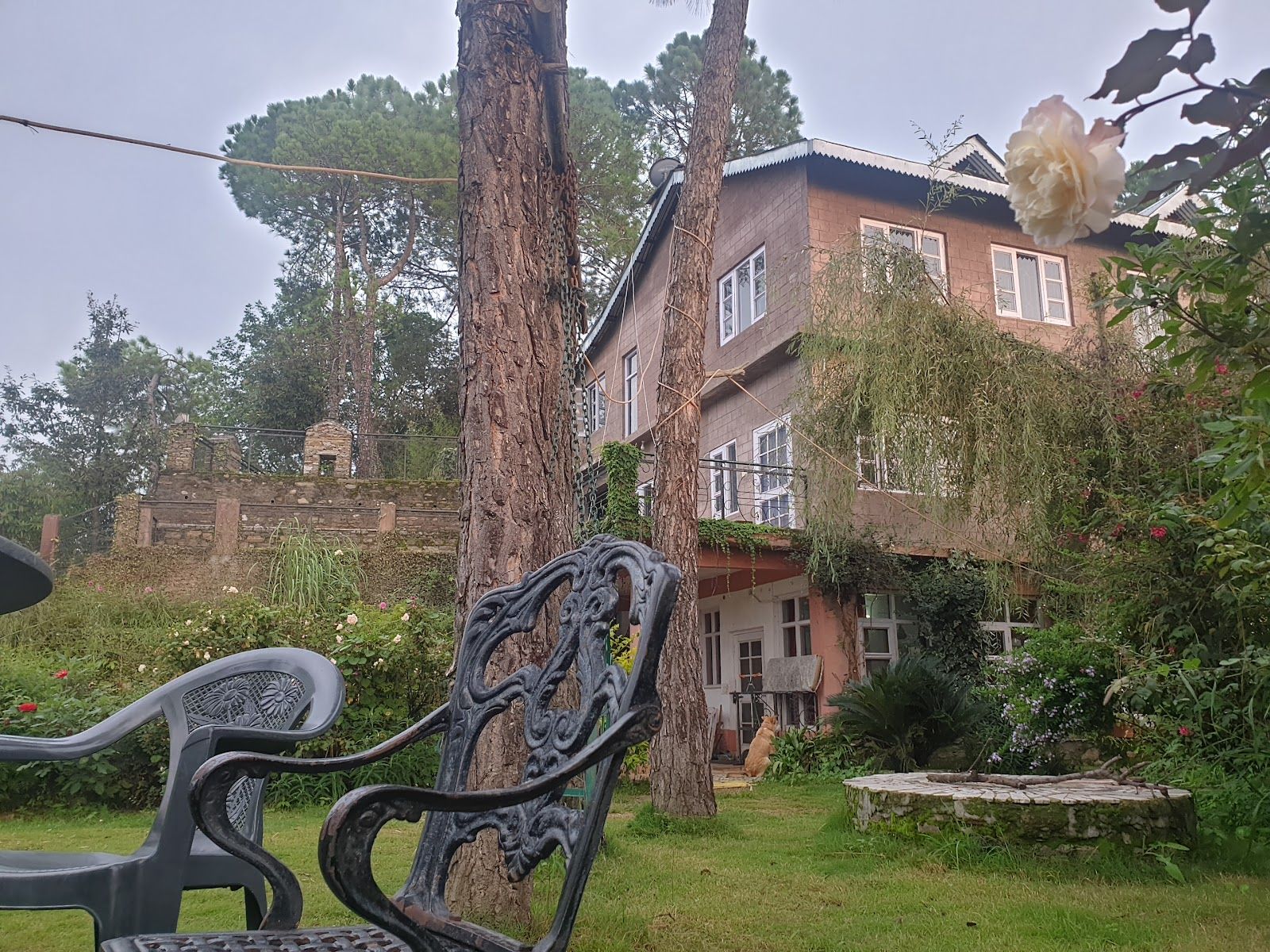 Rajgarh, Himachal House: Nature's Embrace