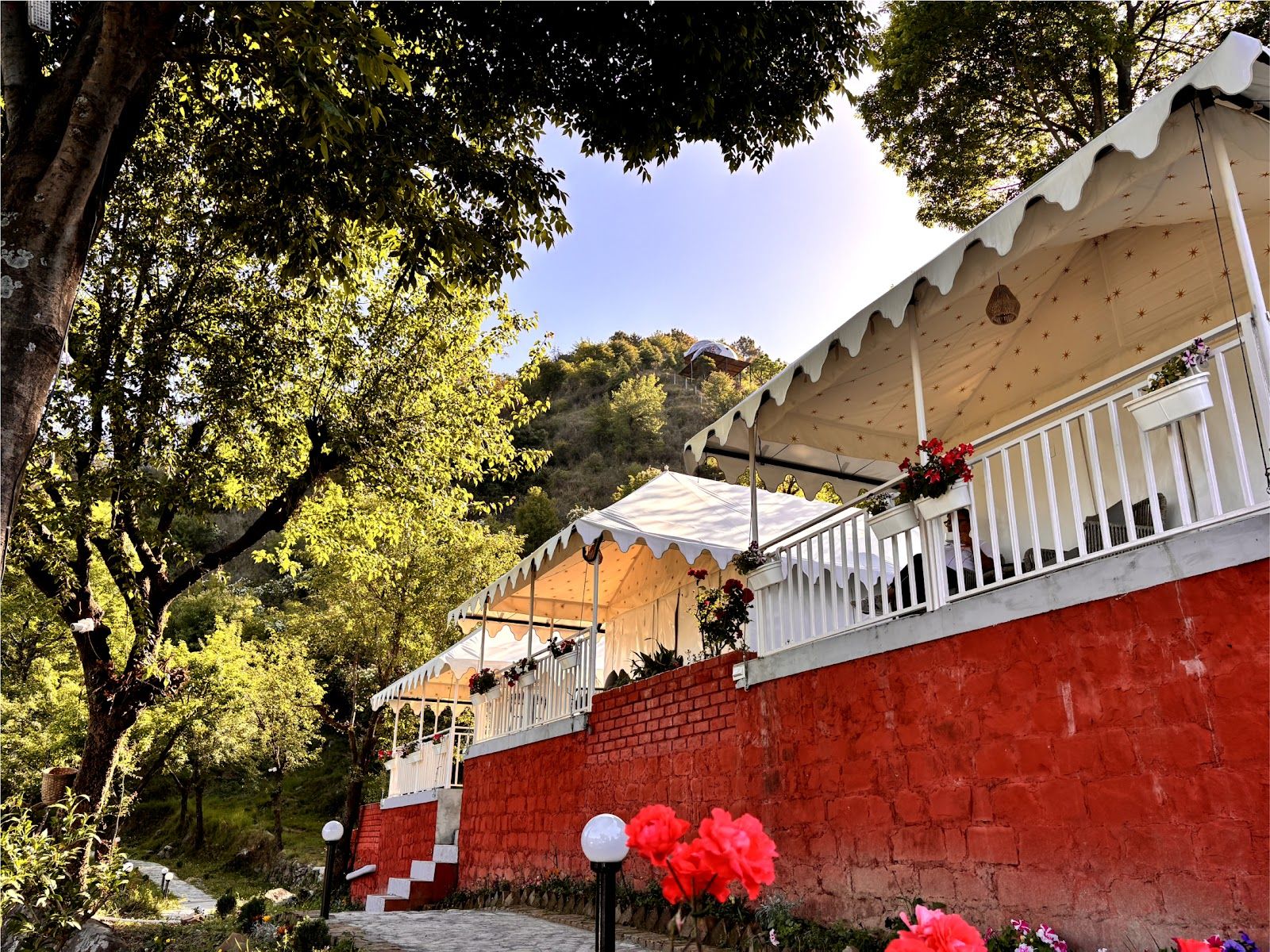 Ultimate View Campsite w/ Bird Views HP in Dharamshala, HP 1