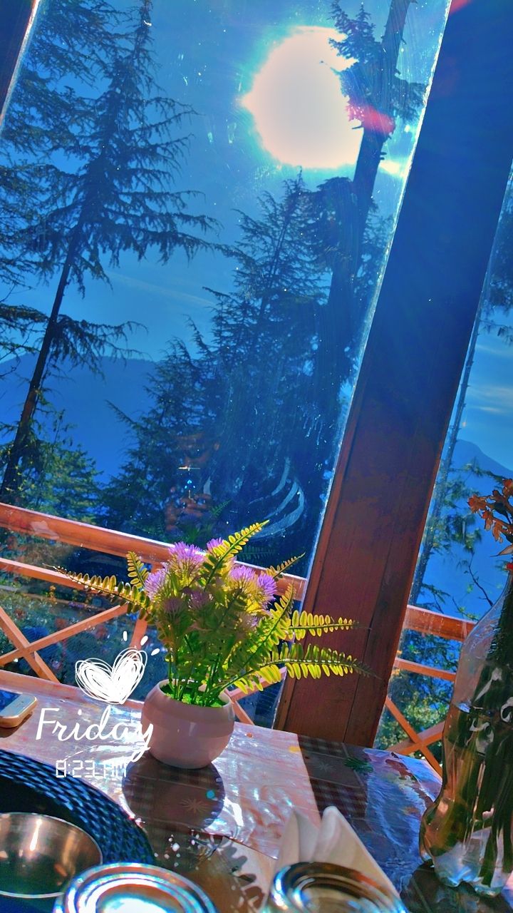 Mountain View Homestay w/ HP Meals Himachal in Bahu, HP 1