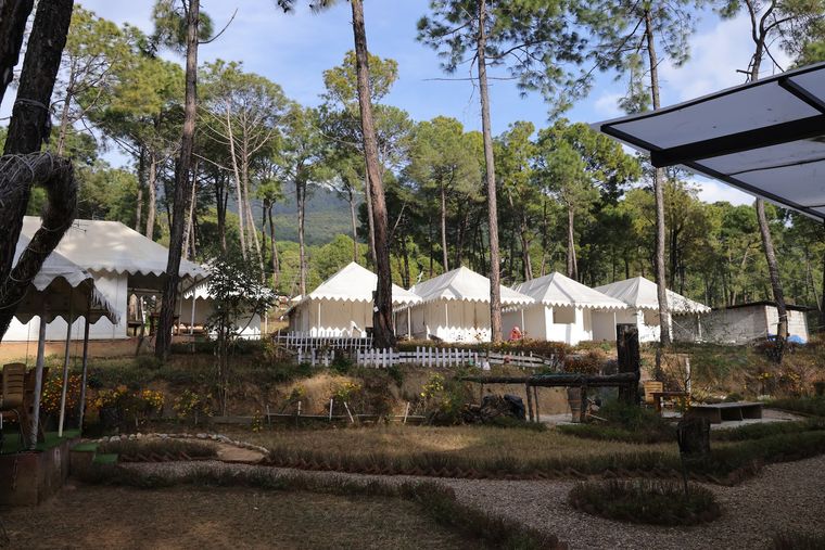 Pine Forest Resort w/ Clean BR & HP