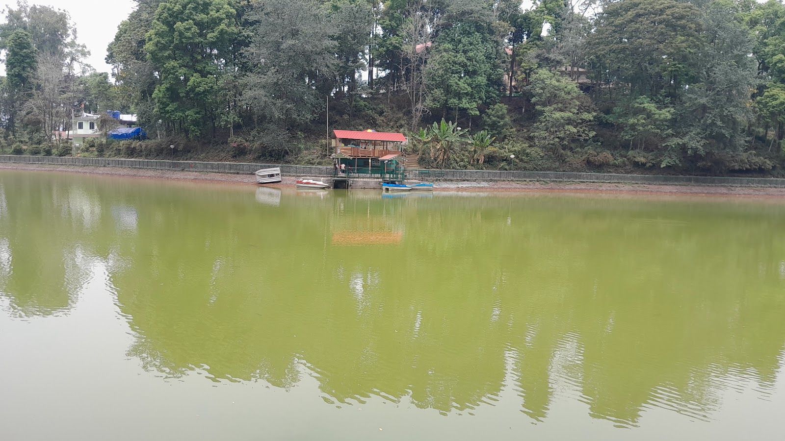 Budget Homestay: Sunrise & Waterfall Views in Sikkim 2