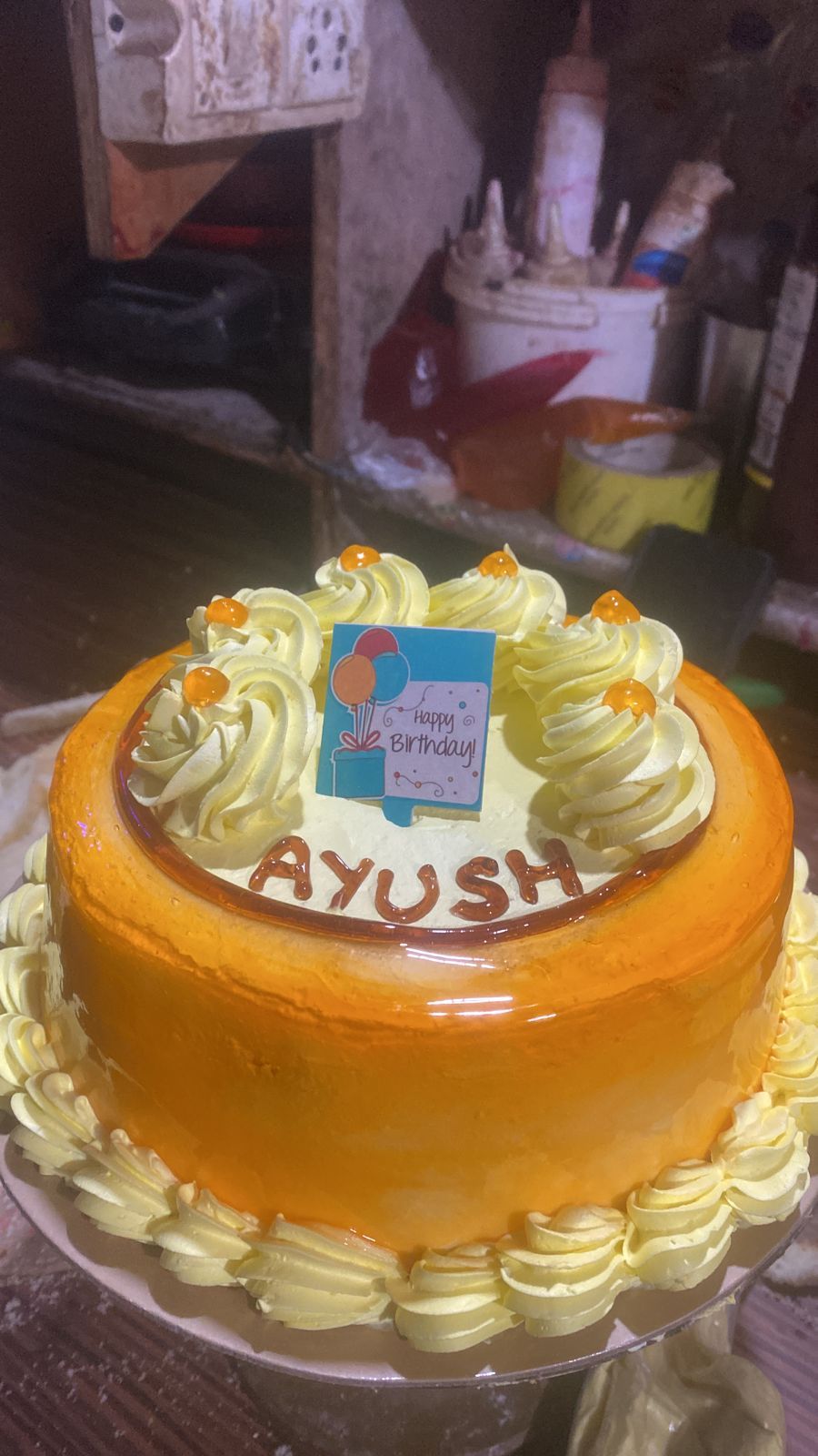 Modern Style Guest Home w/Food HP in Badhalag, HP 8