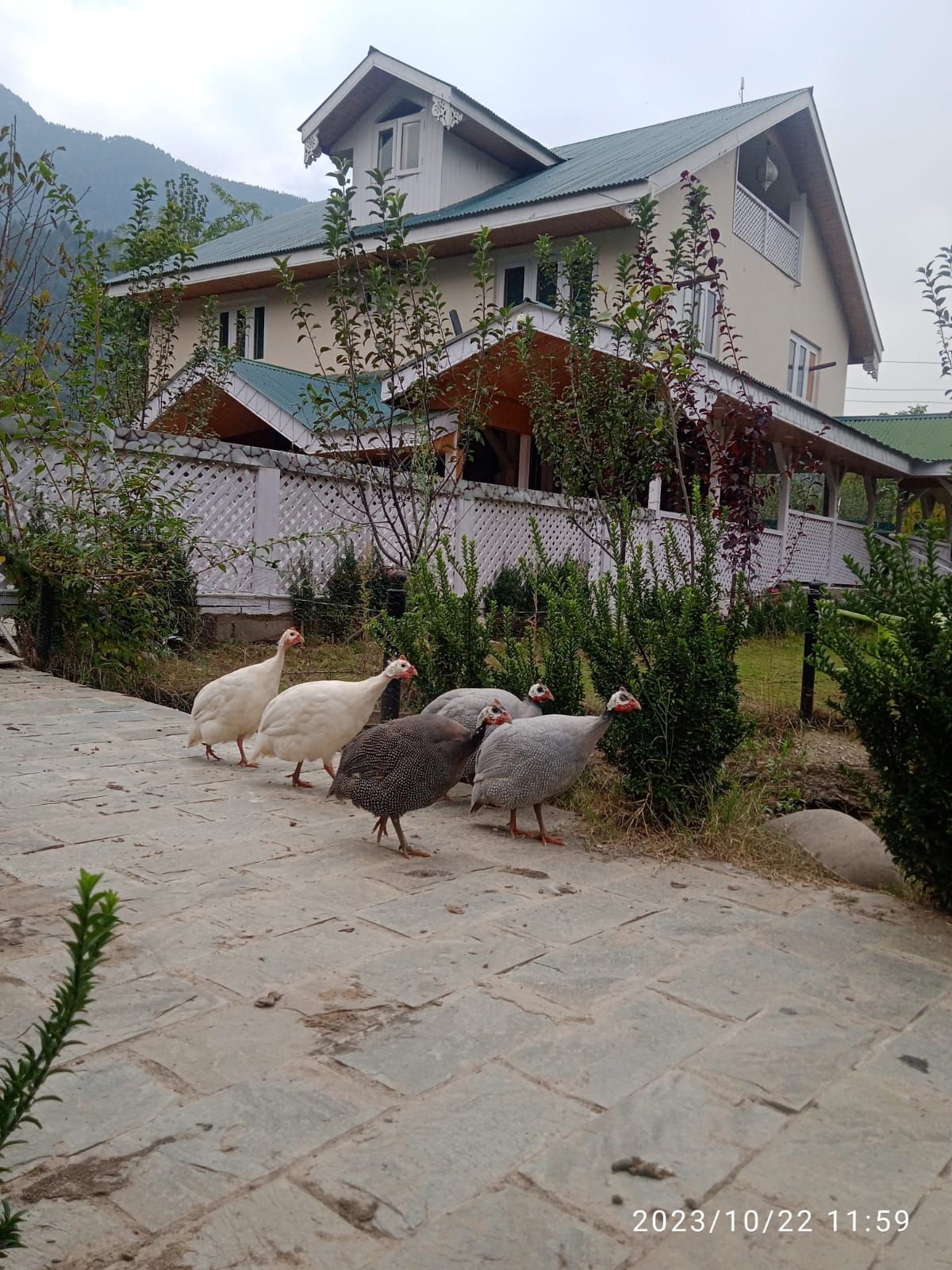 Shepherds Cottage, Timeless charm and character - Kangan, J&K photo 4