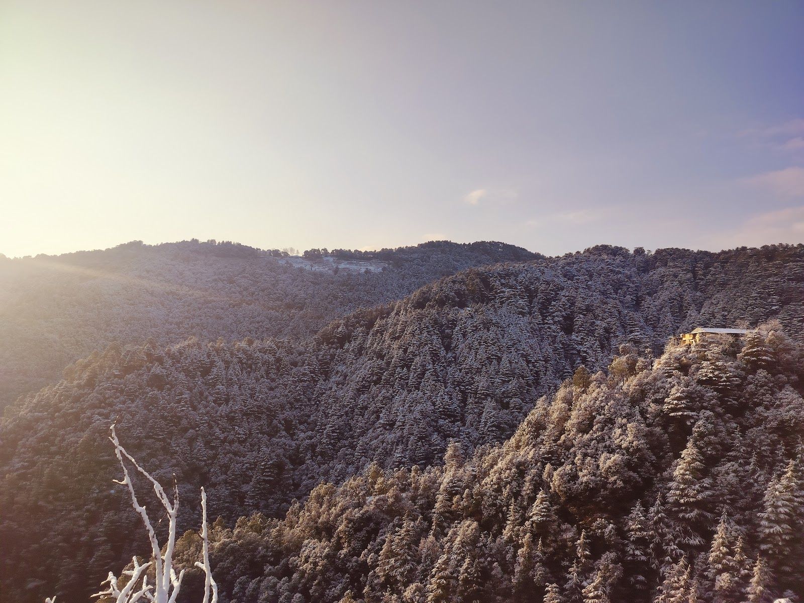 Panoramic Sunrise View Hotel, HP - Chail, HP photo 5