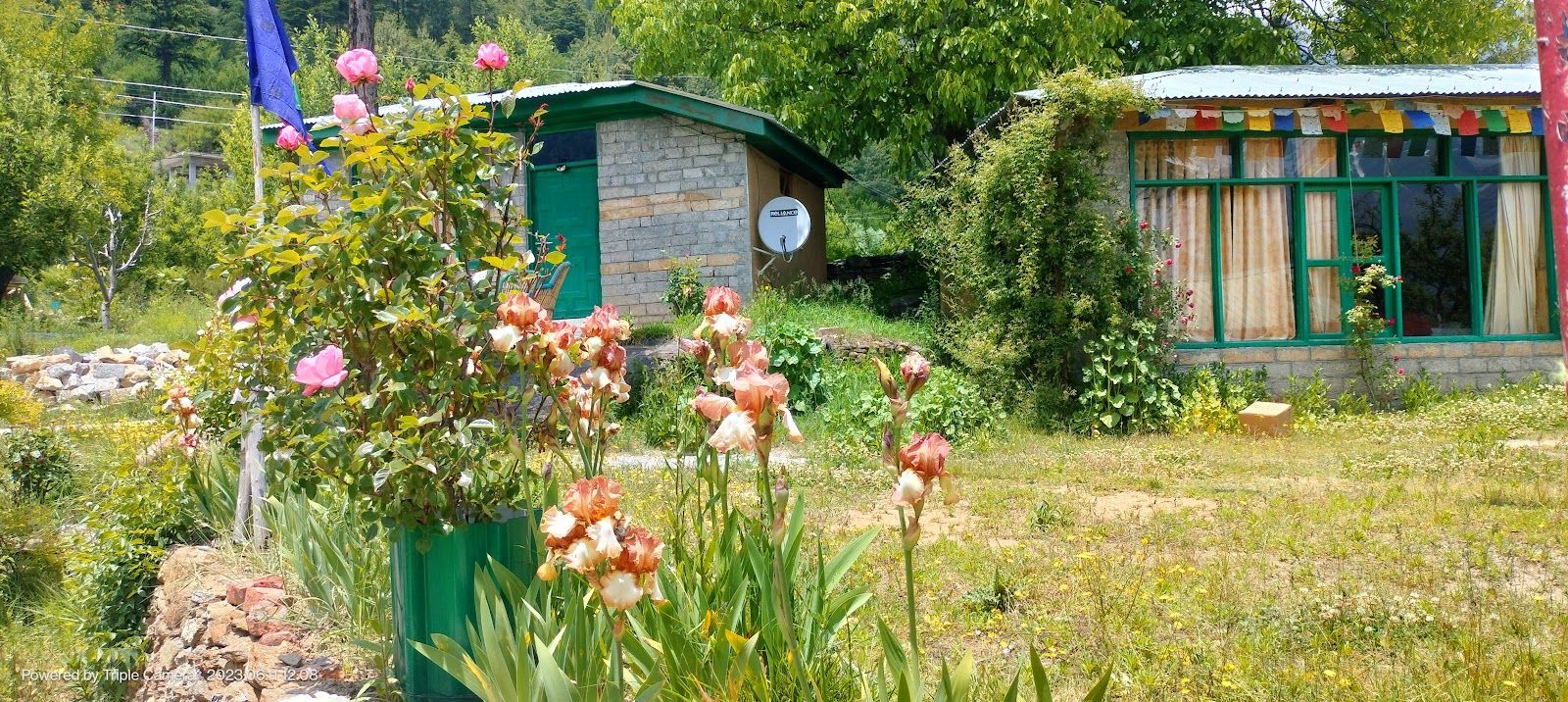 Apple Garden View Cottage w/ Bonfire HP - Himachal Pradesh photo 4