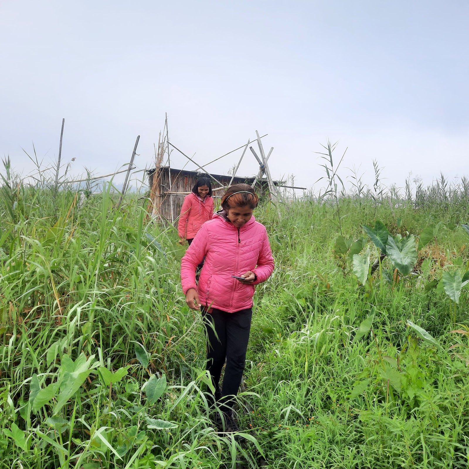 Lake View Homestay w/ Home Meals & Nature Care - Manipur photo 5