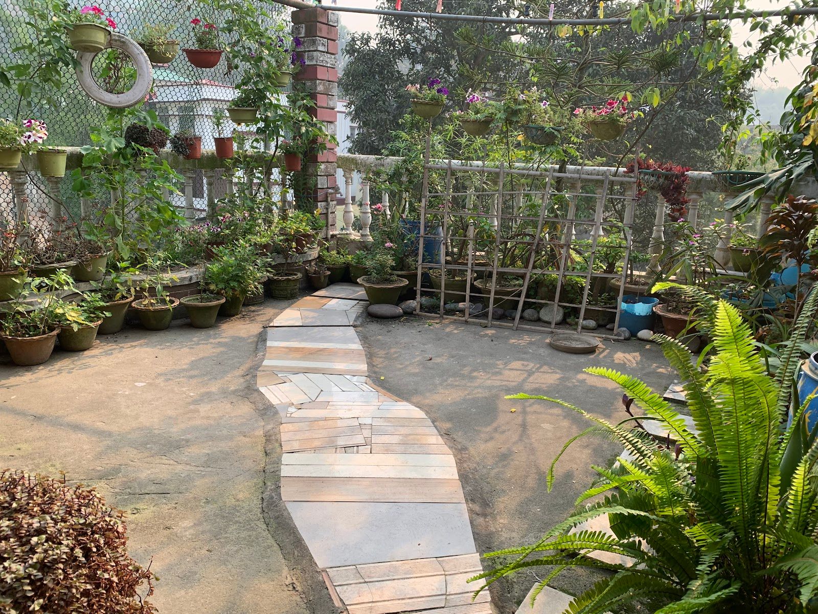 Garden Homestay w/ Healthy Meals, Assam