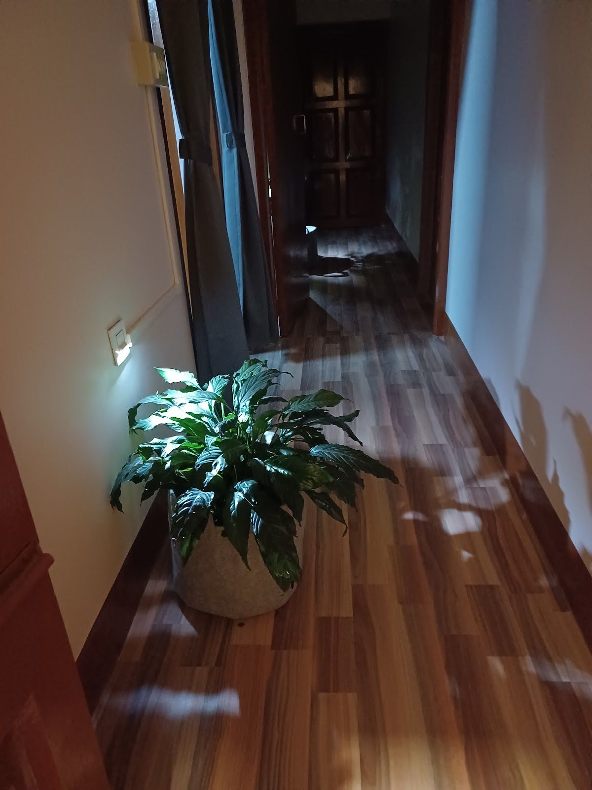 Aesthetic Designed Homestay w/ Meals, Assam in Tezpur 8