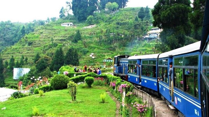 Explore hidden magic of living in tea garden farms