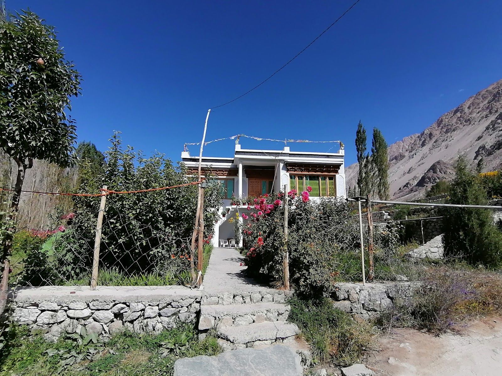Garden Homestay w/ HP, Big BR, Ladakhi Food ...